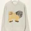 Wild animals Pug Pug sweater
