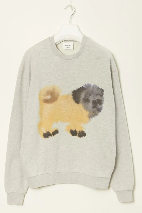 Wild animals Pug Pug sweater