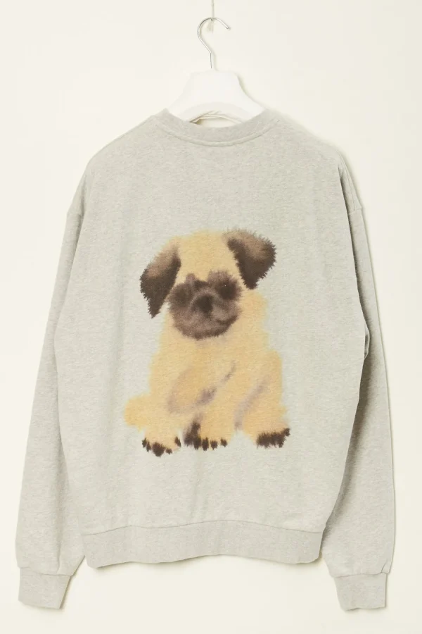 Wild animals Pug Pug sweater